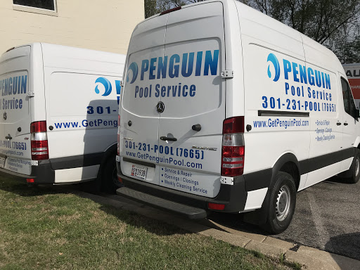 Penguin Pool Service