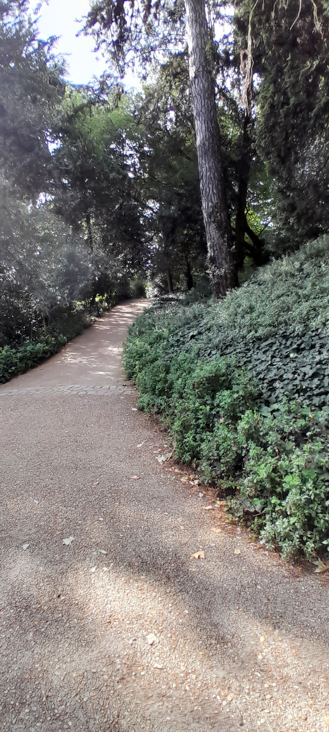 Photo n° 13 de l'avis de Nana.n fait le 05/10/2023 à 12:17