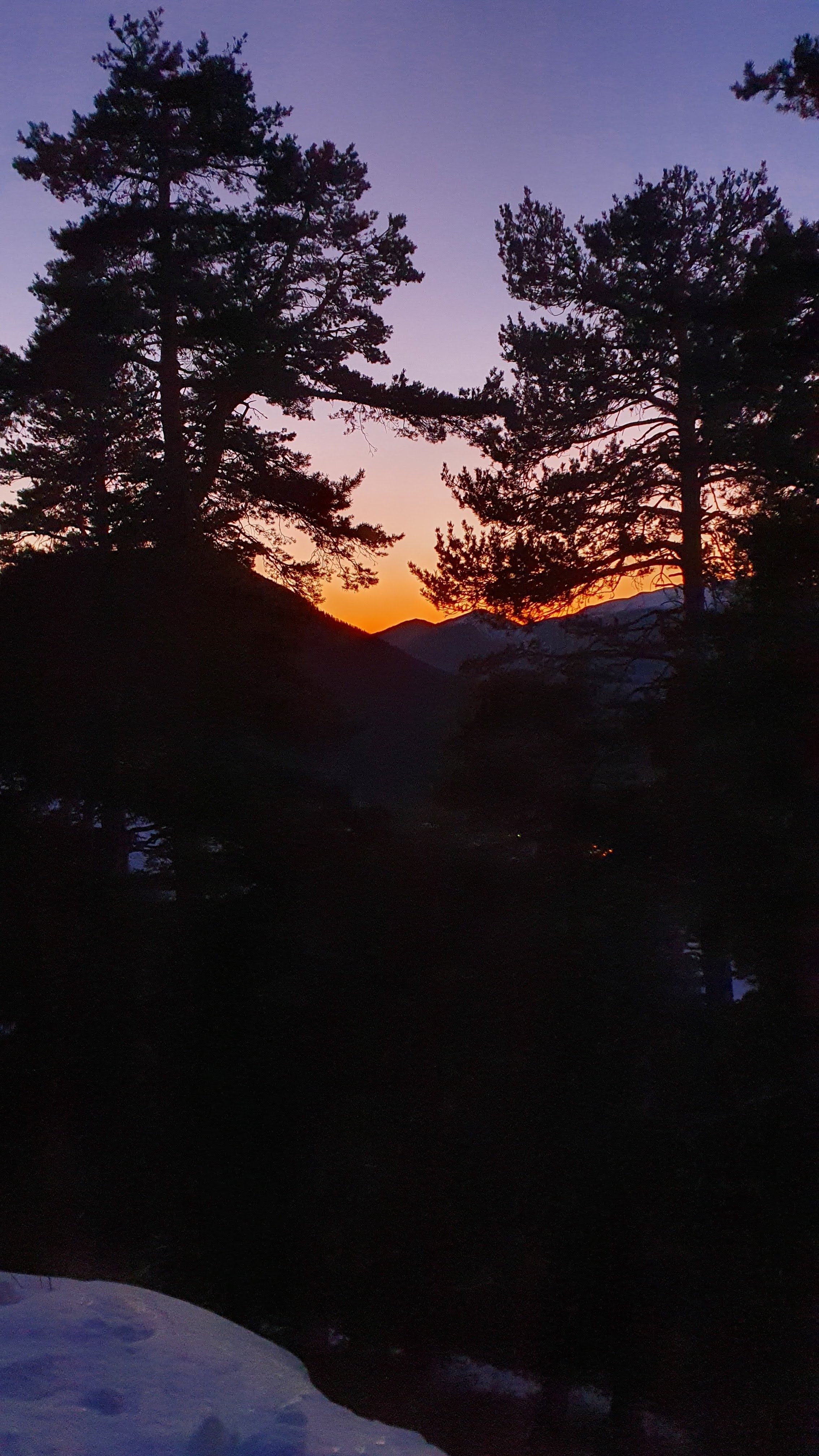 Photo n° 5 de l'avis de Sorin.a fait le 12/01/2022 à 17:58