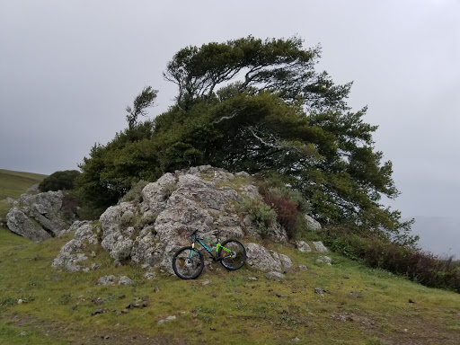 Bicycle Store «Larkspur Bike», reviews and photos, 556 Magnolia Ave #2, Larkspur, CA 94939, USA