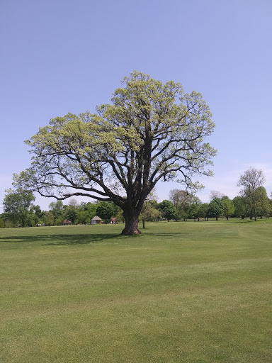 Park «Delaware Park», reviews and photos, Meadow Dr, Buffalo, NY 14214, USA