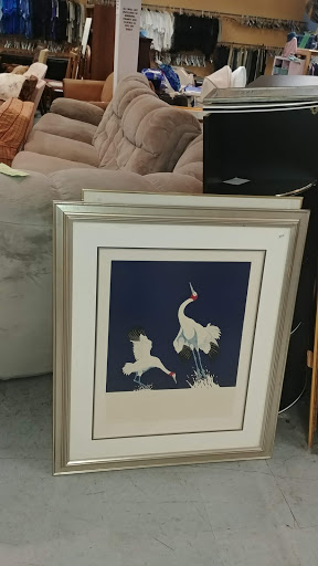 Non-Profit Organization «Youth Alternatives Thrift Shop», reviews and photos, 3103 West Ave, San Antonio, TX 78213, USA