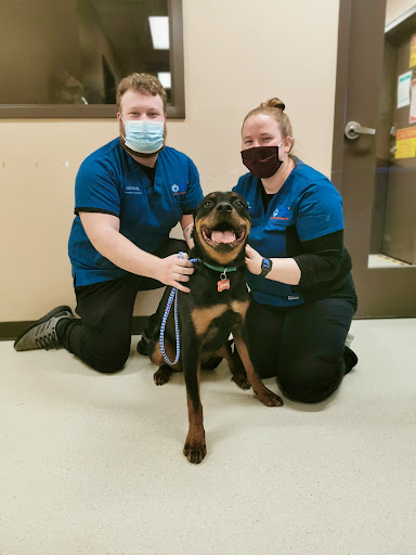 Riverview Animal Health Centre image