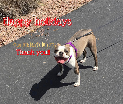 Pet Store «Pet Planet», reviews and photos, 11968 S Redwood Rd, Riverton, UT 84065, USA