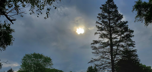 Golf Club «Blossom Trails Golf Club», reviews and photos, 1565 E Britain Ave, Benton Harbor, MI 49022, USA