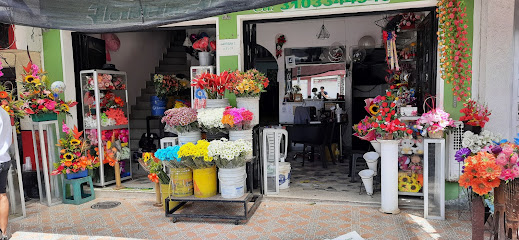 Floristerias en Ibagué Alba | floristerias en ibague | Tienda de flores