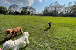 Poppleton Park image