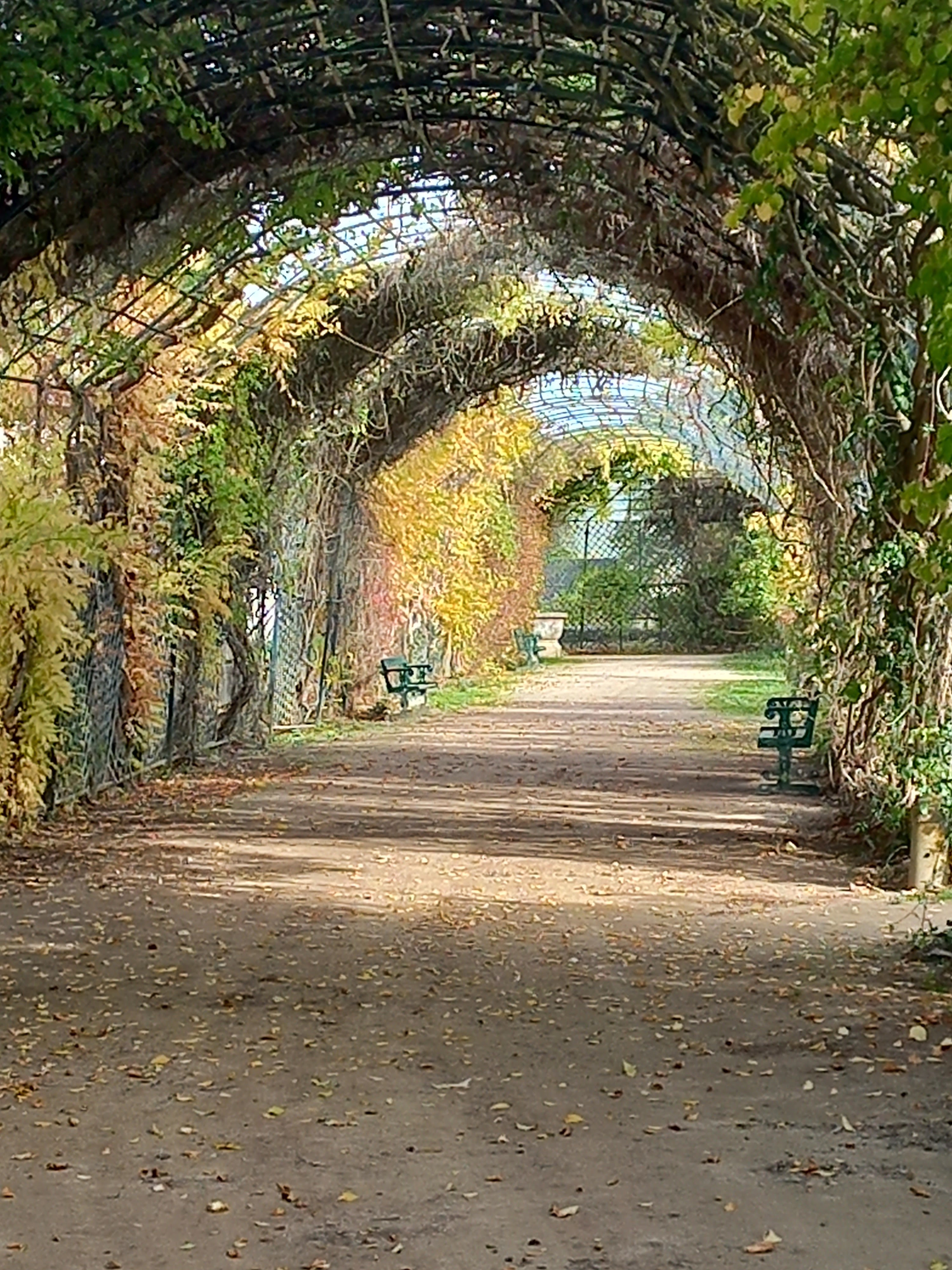 Photo n° 11 de l'avis de Marie.a fait le 29/10/2022 à 17:54
