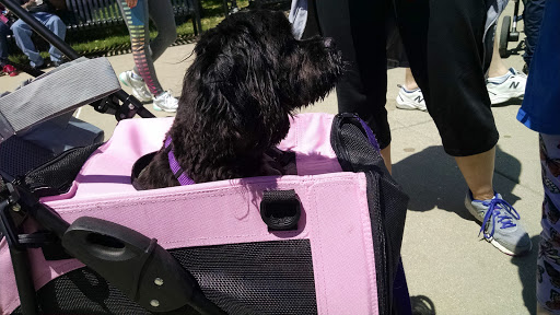 Wedding Venue «CANAL 337», reviews and photos, 337 W 11th St, Indianapolis, IN 46202, USA