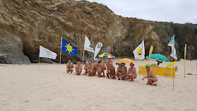 Federação Portuguesa de Naturismo