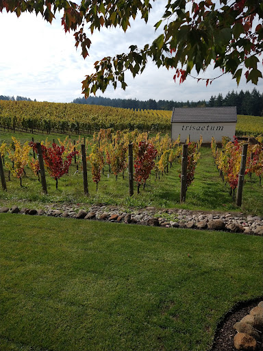 Winery «Trisaetum Winery», reviews and photos, 18401 NE Ribbon Ridge Rd, Newberg, OR 97132, USA