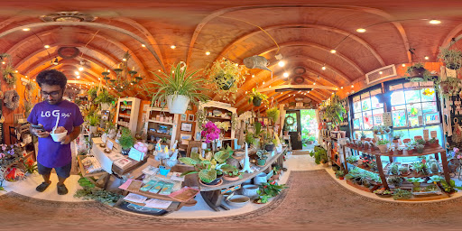 Farm «B & B Flower Farm», reviews and photos, 668 Jones Hill Rd, West Haven, CT 06516, USA