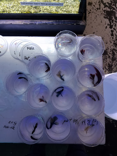 Pet Store «Pet Land», reviews and photos, 1450 Fort Campbell Blvd, Clarksville, TN 37042, USA