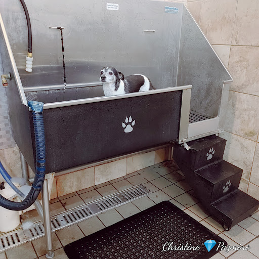 Pet Supply Store «Pet Supplies Plus», reviews and photos, 4250 N Alafaya Trail #240, Oviedo, FL 32765, USA