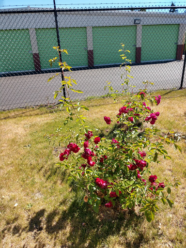 Self-Storage Facility «Extra Space Storage», reviews and photos, 2602 S 80th St, Lakewood, WA 98499, USA