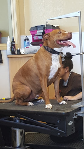 Pet Supply Store «Petco Animal Supplies», reviews and photos, 2784 W Peoria Ave, Phoenix, AZ 85029, USA