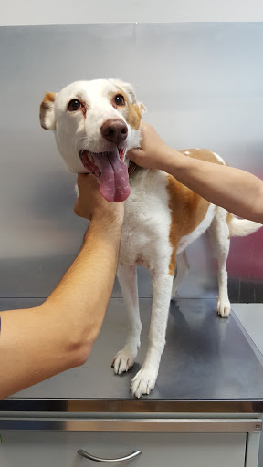 Centro Veterinario Valdespartera en Zaragoza