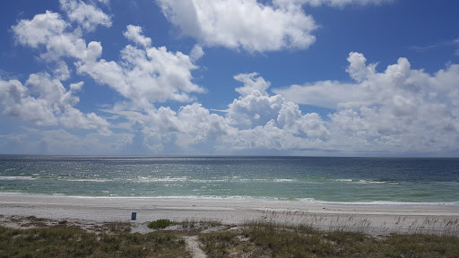 Surf Shop «Suncoast Surf Shop», reviews and photos, 9841 Gulf Blvd, Treasure Island, FL 33706, USA