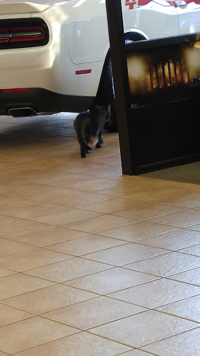 Car Dealer «Troncalli Chrysler-Jeep-Dodge-Ram», reviews and photos, 818 Atlanta Hwy, Cumming, GA 30040, USA