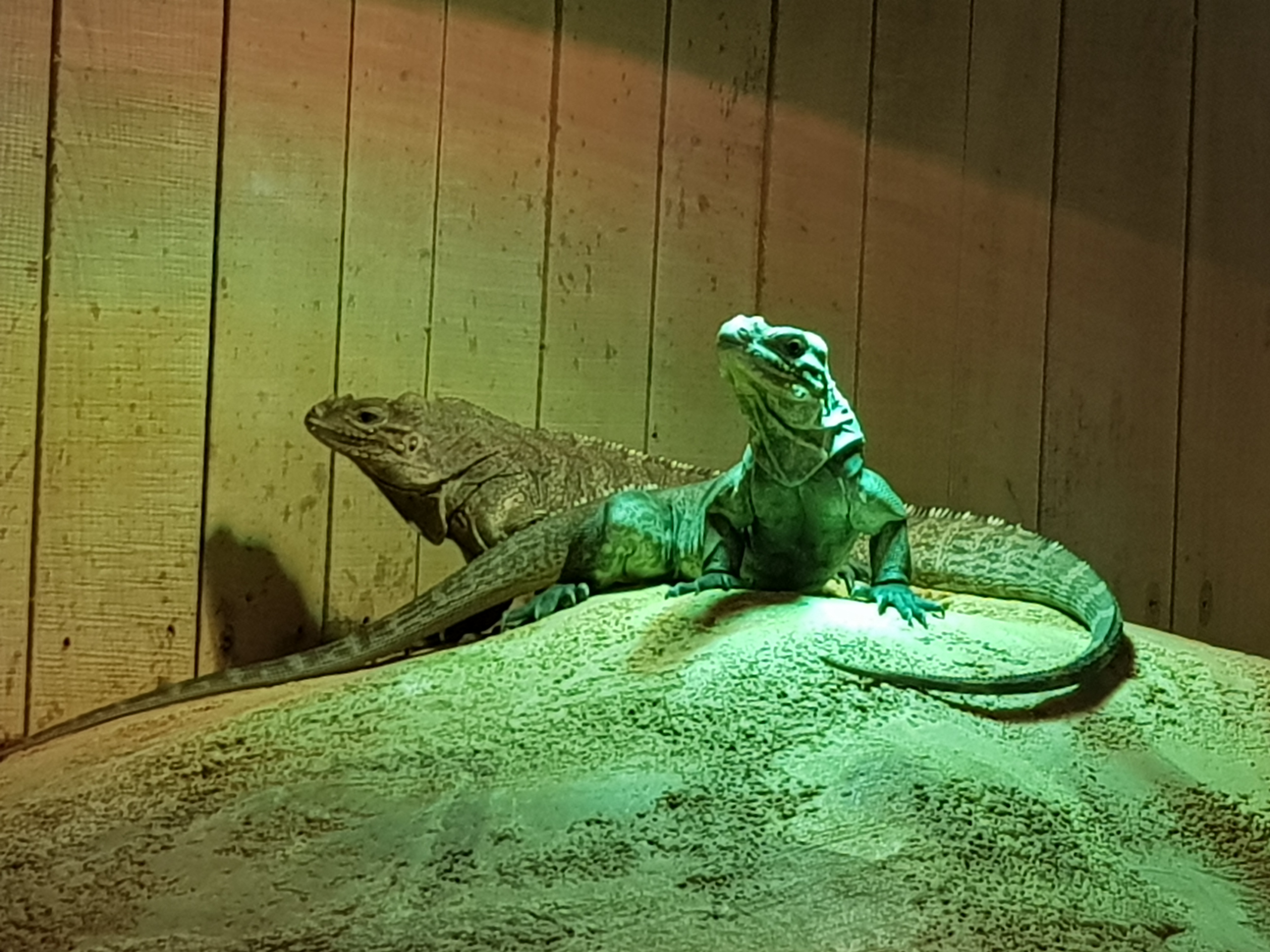 Photo n° 3 de l'avis de lolita.r fait le 09/08/2018 à 14:47
