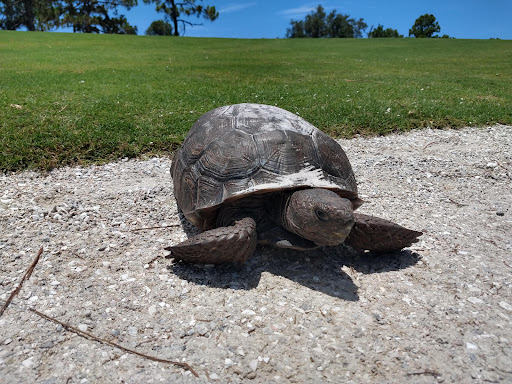 Golf Club «Raptor Bay Golf Club», reviews and photos, 23001 Coconut Point Resort Dr, Estero, FL 33928, USA