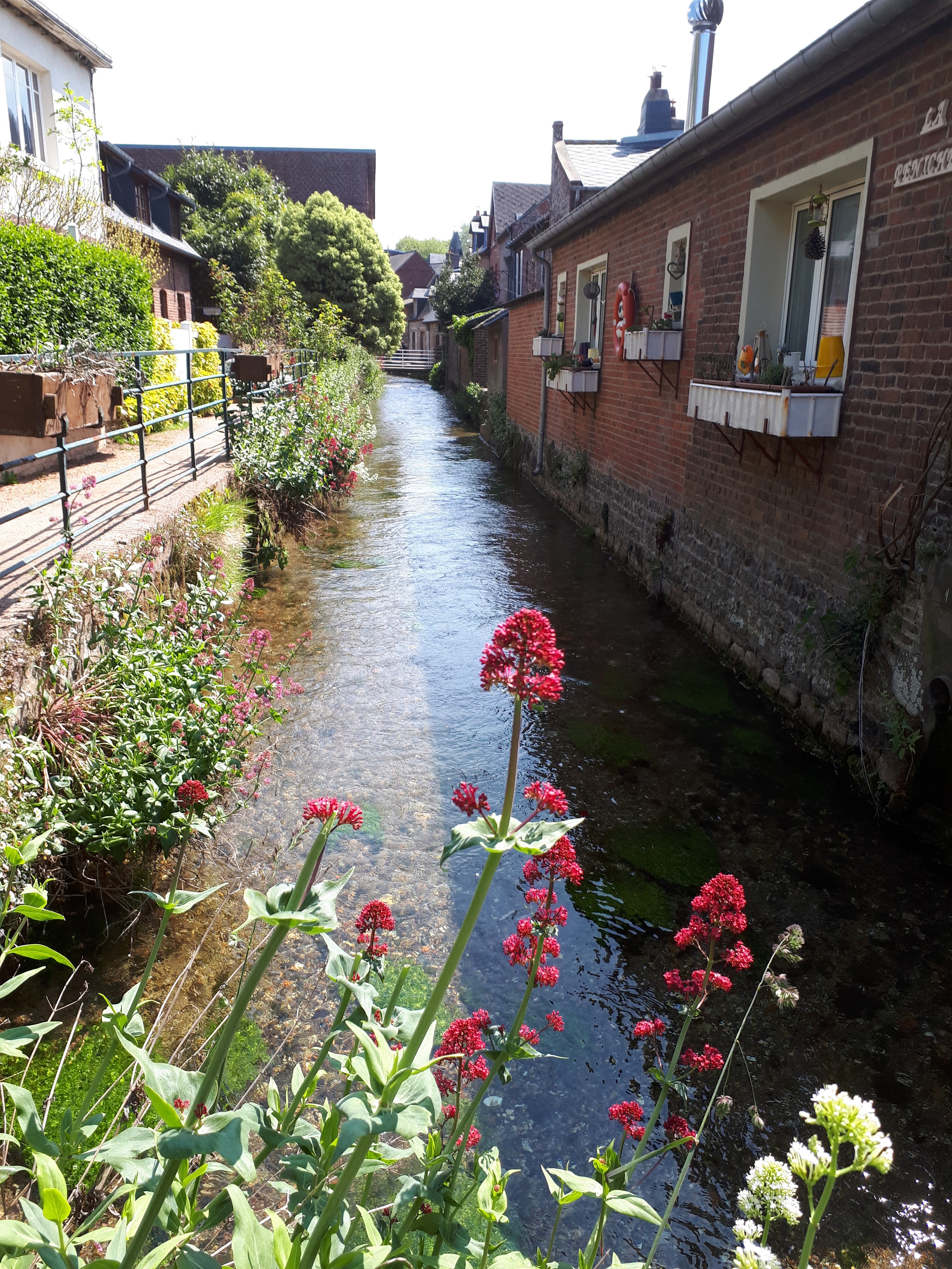 Photo n° 13 de l'avis de Didier.a fait le 11/05/2019 à 13:21