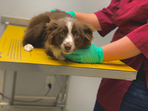 Adair County Animal Hospital image