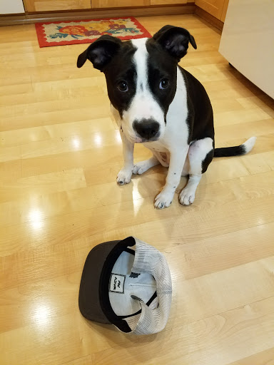 1034 Molalla Ave, Oregon City, OR 97045, USA