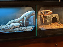 Beasties...A pet store and more!!! - Photo 6 - Car repair in Pueblo, CO, Pueblo