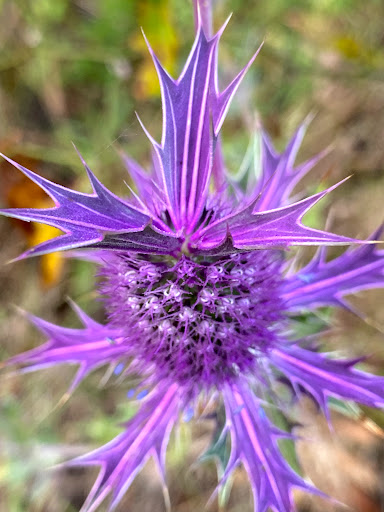 Park «Trophy Club Park», reviews and photos, 2885 Trophy Park Dr, Trophy Club, TX 76262, USA