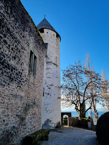 Rue du Château 11, 1814 La Tour-de-Peilz, Schweiz