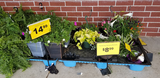 Grocery Store «Food Lion», reviews and photos, 7013 Lankford Hwy, Oak Hall, VA 23416, USA