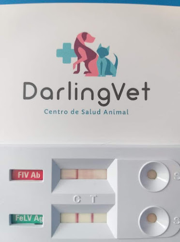 Centro de Salud Animal - Veterinario