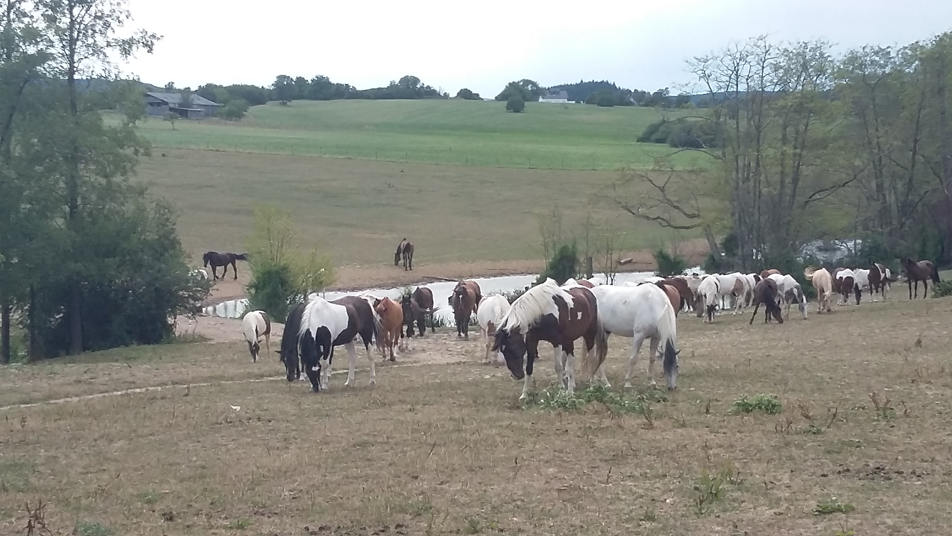 Photo n° 2 de l'avis de Mireille.r fait le 01/08/2018 à 16:05