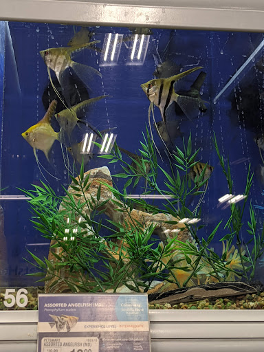 Pet Supply Store «PetSmart», reviews and photos, 1140 W Elliot Rd, Tempe, AZ 85284, USA
