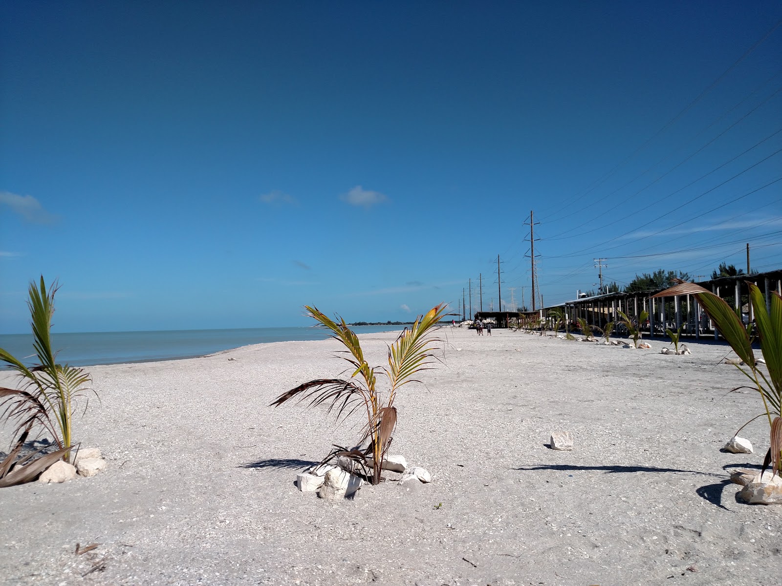 Playa Bahamita的照片 带有碧绿色纯水表面