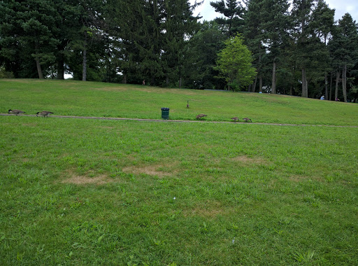 Park «Kissena Park», reviews and photos, 164-15 Booth Memorial Ave, Fresh Meadows, NY 11365, USA