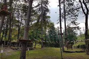 Parco Avventura Fiumalbo image