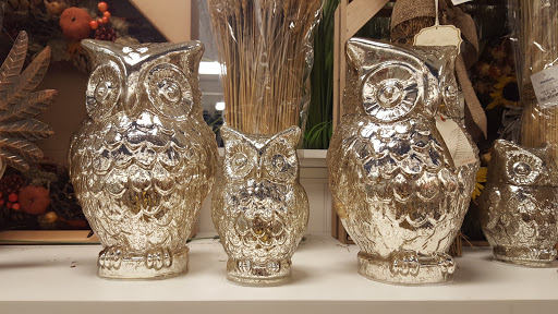 Department Store «Marshalls», reviews and photos, 3975 Cascades Blvd, Kent, OH 44240, USA