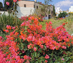 Rincon del Pedregal photo