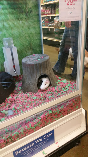 Pet Supply Store «PetSmart», reviews and photos, 1791 Oconee Connector Suite 130, Athens, GA 30606, USA