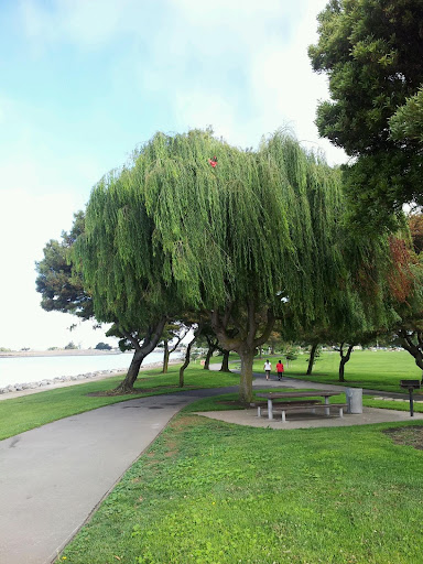 Park «Marina Park», reviews and photos, 14001 Monarch Bay Dr, San Leandro, CA 94577, USA