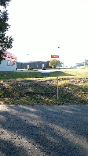 Auto Parts Store «Advance Auto Parts», reviews and photos, 2440 S Hwy 29, Cantonment, FL 32533, USA