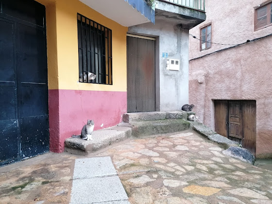 Photos des visiteurs hôtels Casa Belen I y II 37619 Madroñal