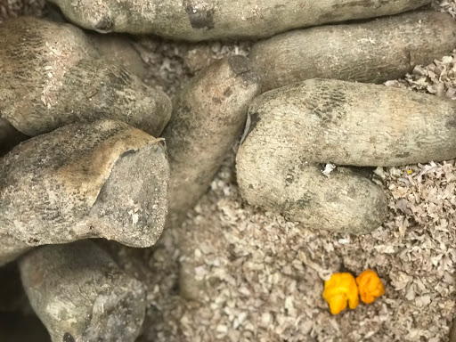 Grocery Store «D & L Groceries Inc», reviews and photos, 1005 Genesee St, Rochester, NY 14611, USA