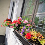 Photo n°4 de l'avis de Niclas.e fait le 20/06/2019 à 11:02 sur le  Hotel Zündorf à Cologne