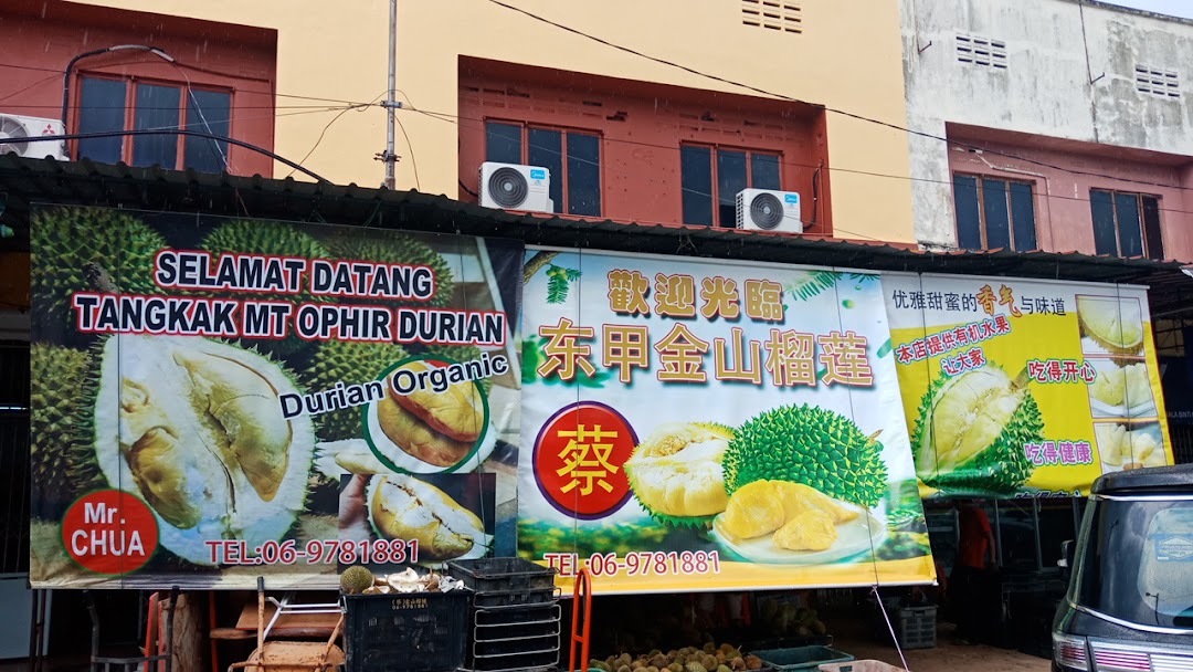 Mt Ophir Durian (Wholesale)