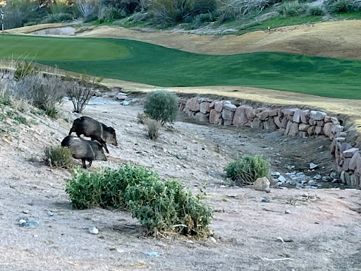 Golf Club «We-Ko-Pa Golf Club», reviews and photos, 18200 E Toh Vee Cir, Fort McDowell, AZ 85264, USA