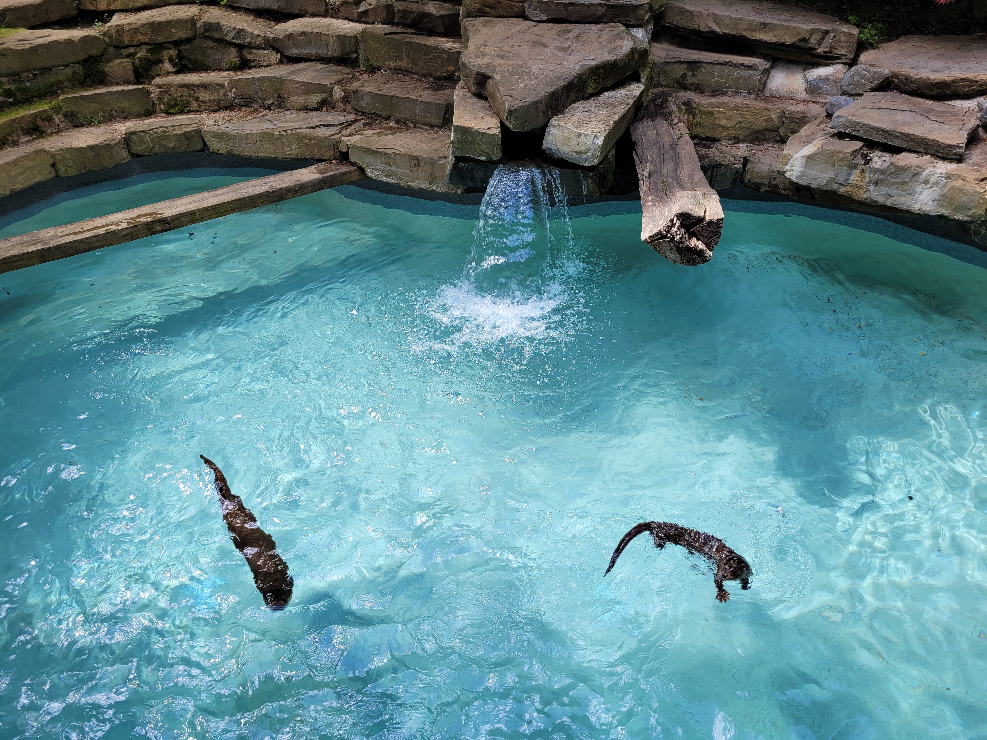 Photo n° 4 de l'avis de florian.a fait le 22/05/2022 à 17:27