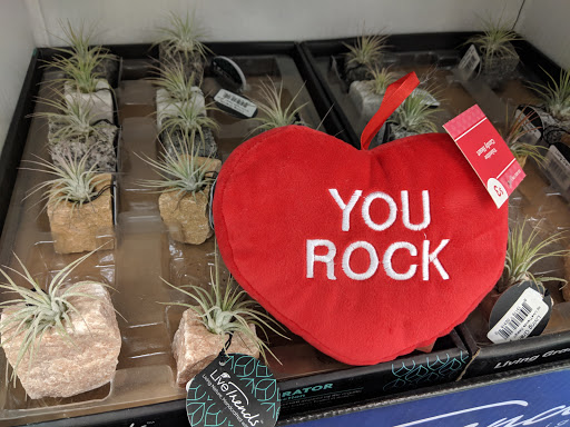 Grocery Store «Meijer», reviews and photos, 2153 Marion-Mt Gilead Rd, Marion, OH 43302, USA